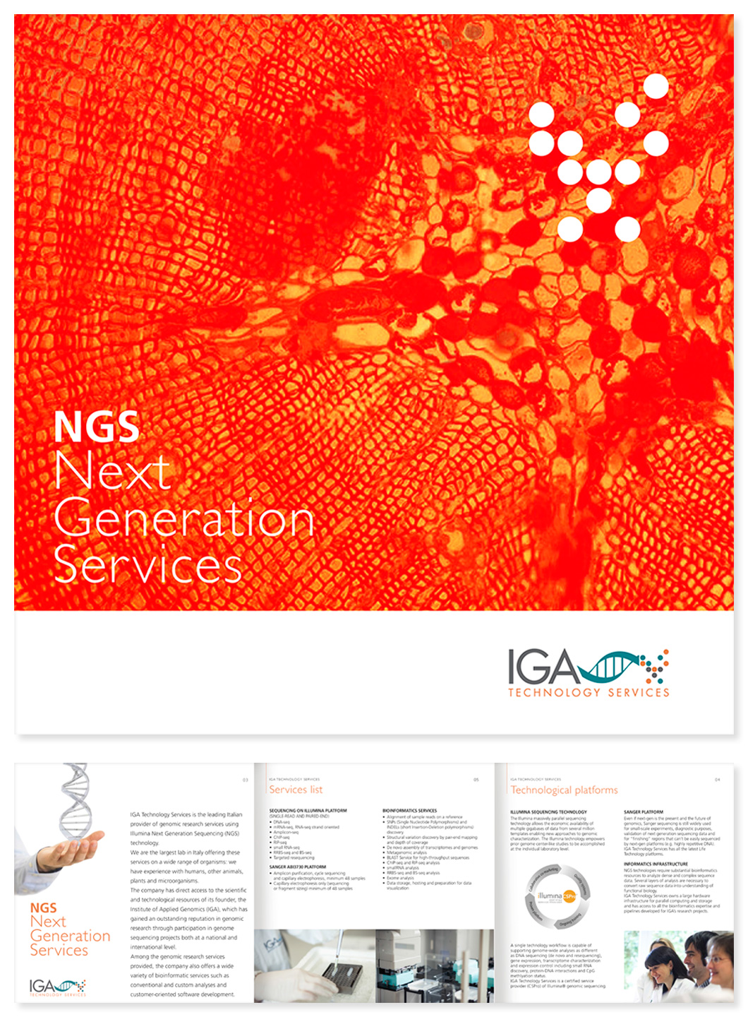 IGA Technology Services